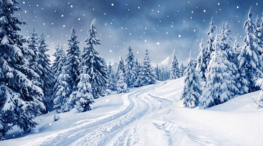 Navy scenic winter forest wallpaper mural
