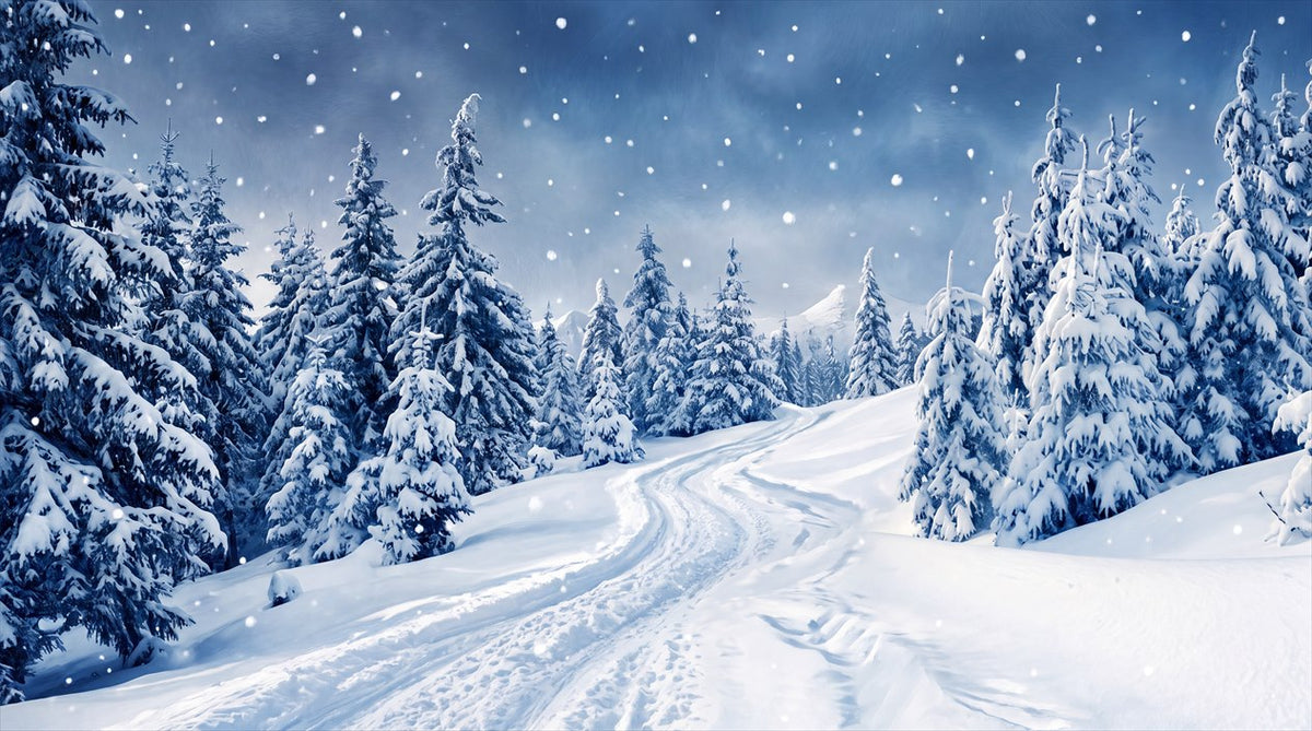 Navy Scenic Winter Forest Wallpaper Mural