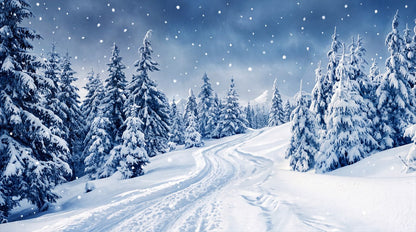 Navy scenic winter forest wallpaper mural