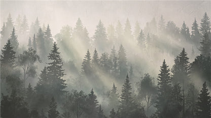 Sunlit Forest Mist Grey Wallpaper Mural - image 5