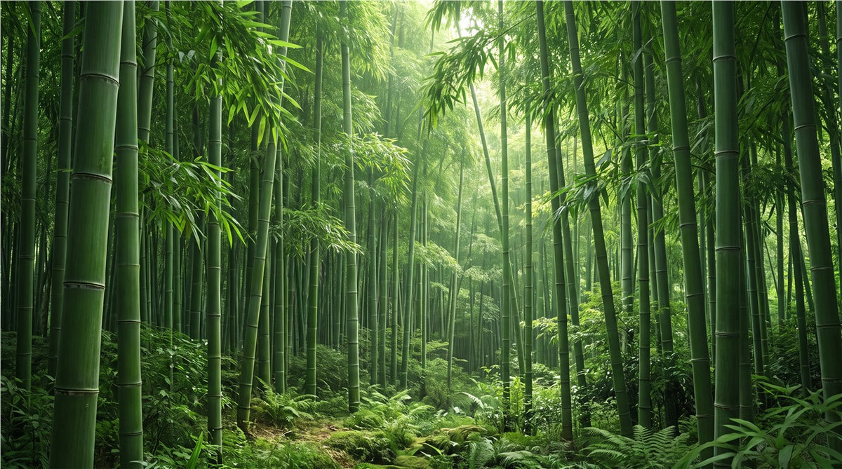 Bamboo Forest Light Green Wallpaper Mural - image 6