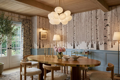 Rustic White Birch Forest Wallpaper Mural room scene