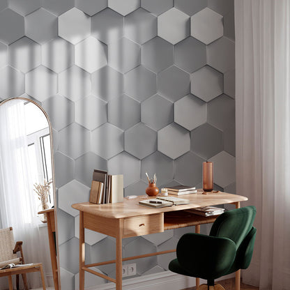 Monochrome Hexagonal Elegance Mural Wallpaper in office