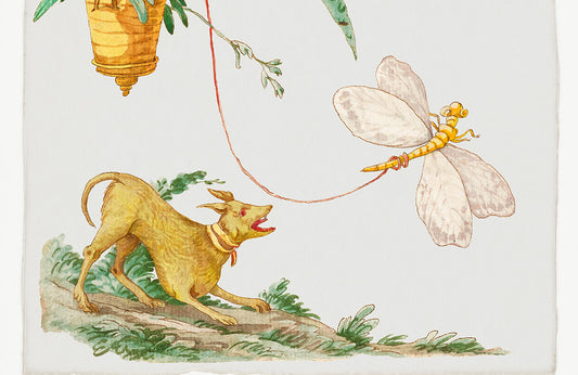 Vintage Nautical Bird Illustration Mural Wallpaper