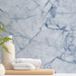 Icy Blue Marble Mural Wallpaper