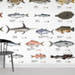 Ocean Room Wallpaper Mural Featuring a Variety of Fish Species