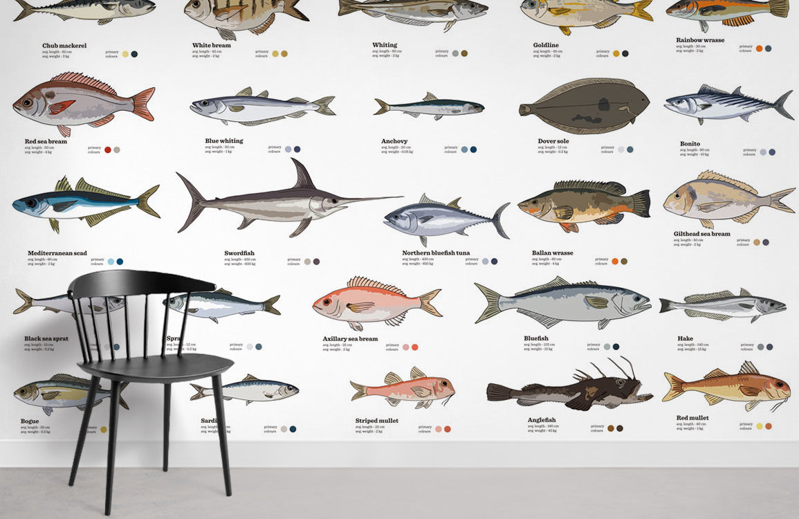 Ocean Room Wallpaper Mural Featuring a Variety of Fish Species