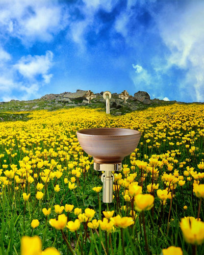 Wallpaper Mural of Flowers on a Mountain Top, Ideal for Use as a Bathroom Decoration