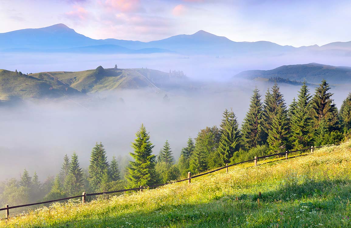 Foggy Mountain Landscape Wall Mural