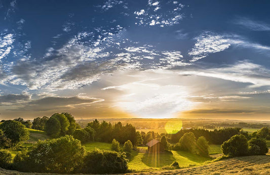 Papier Peint Panoramique Coucher de Soleil dans la Forêt