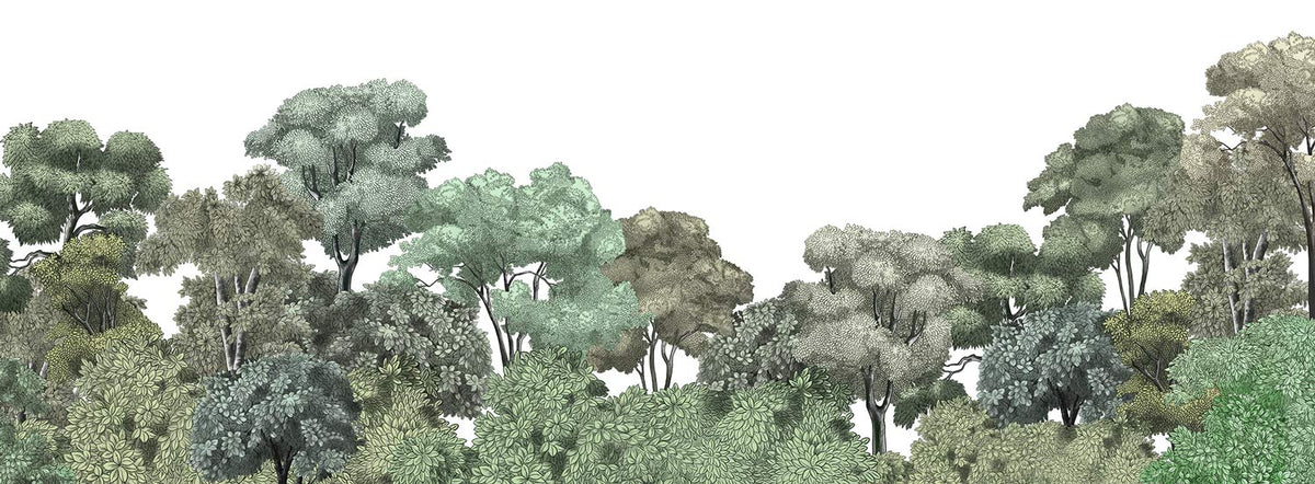 Serene Nature Forest Scene Mural Wallpaper