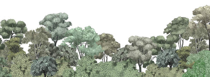 Muro di Carta da Parati di una Serenità Naturale nella Scena Forestale