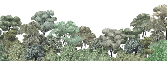Serene Nature Forest Scene Mural Wallpaper