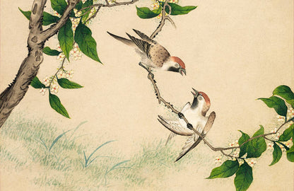 Vintage Nautical Bird Illustration Mural Wallpaper