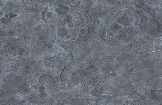 Luxurious Grey Marble Mural Wallpaper