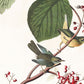 Vintage Botanical Bird Illustration Mural Wallpaper