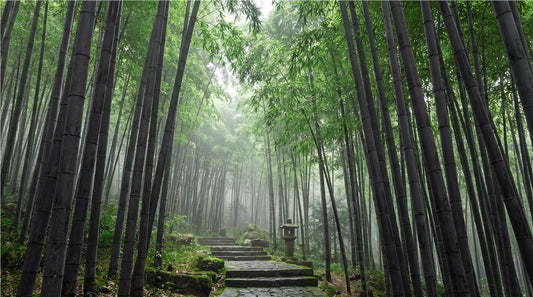 Bamboo Forest Path Green Wallpaper Mural - image 2