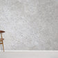 Modern Concrete Textured Grey Wall Mural