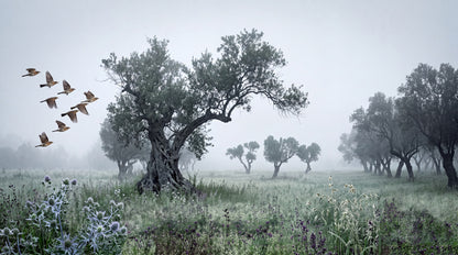 Misty Ancient Tree and Flying Birds Halloween Wallpaper Mural - image 2
