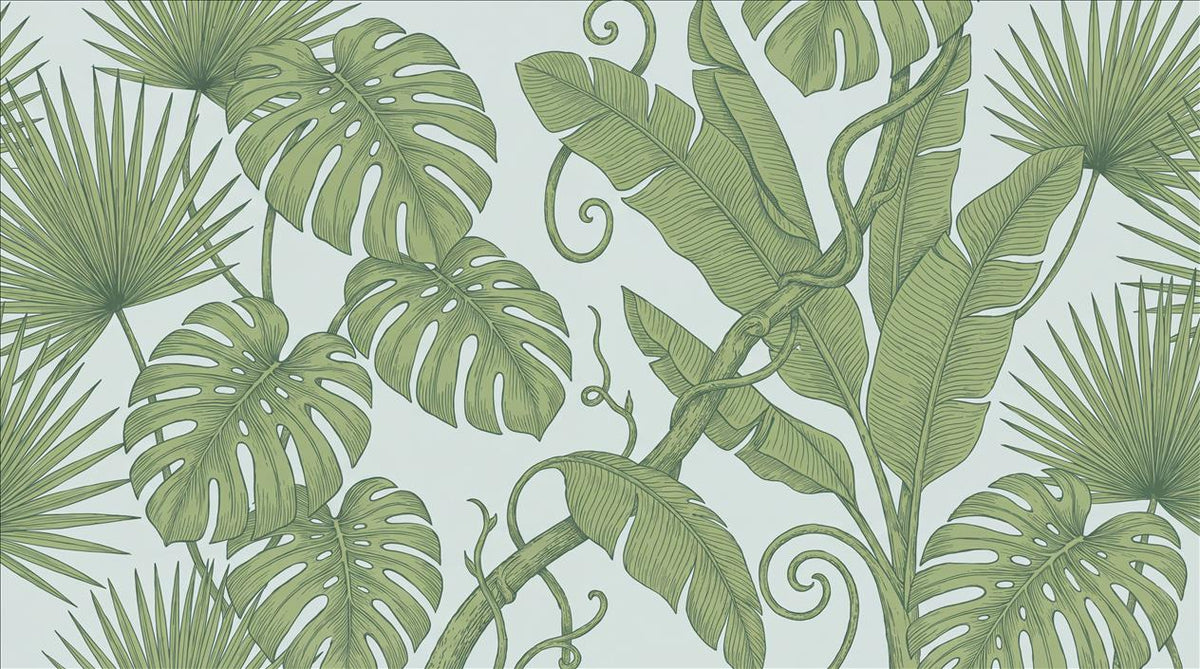 Sage Banana and Monstera Wallpaper Mural 2
