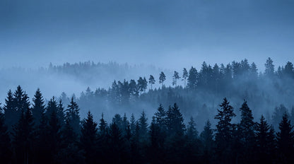 Misty Pine Forest Silhouettes Halloween Wallpaper Mural - image 2