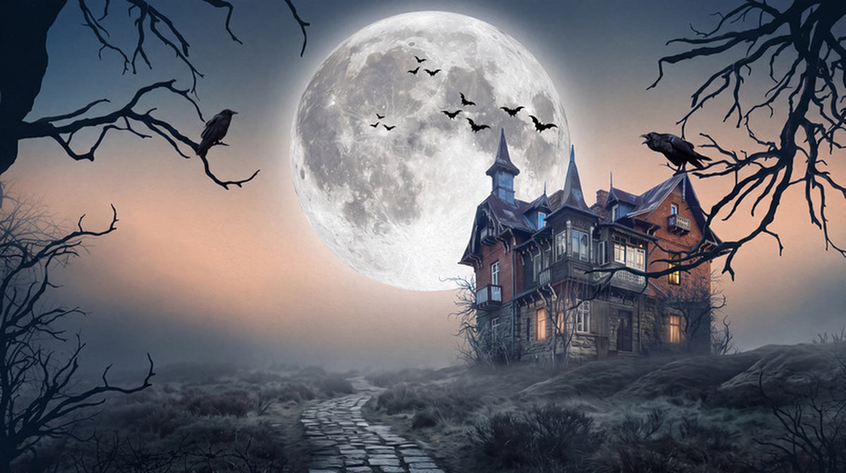 Haunted Mansion Beneath Huge Full Moon Halloween Wallpaper Mural - image 2