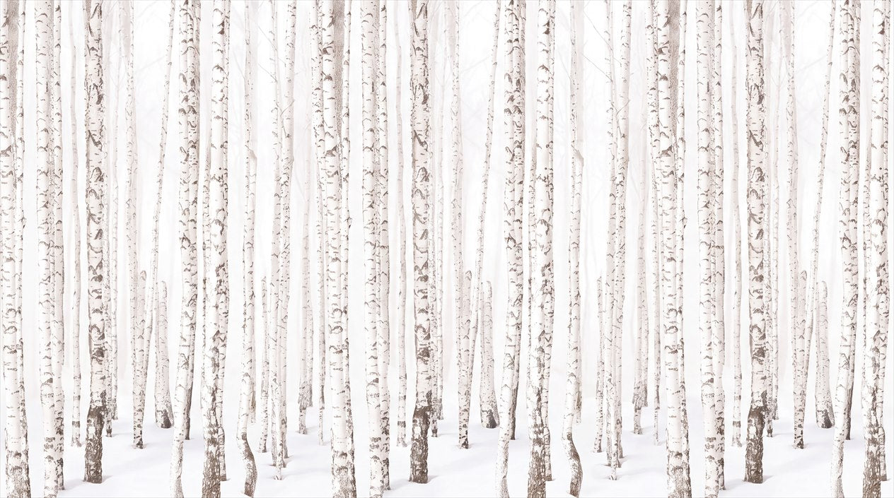 Simple White Birch Forest Wallpaper Mural complete artwork