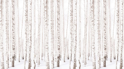 Simple White Birch Forest Wallpaper Mural complete artwork