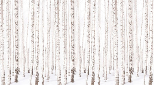 Simple White Birch Forest Wallpaper Mural complete artwork