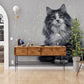 Constellation Cat Grey Mural Wallpaper