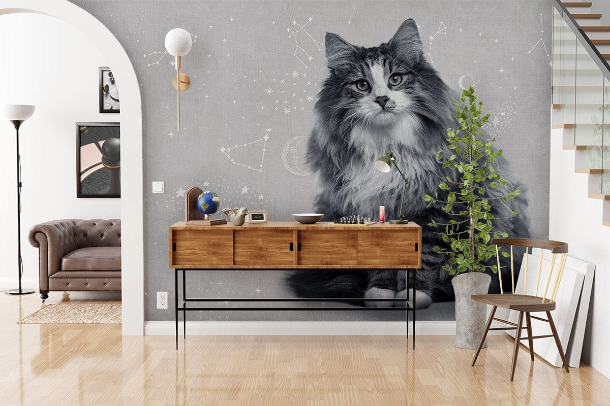 Constellation Cat Grey Mural Wallpaper