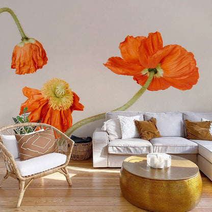 Wallpaper Mural in the Living Room Featuring Orange Poppy Flowers
