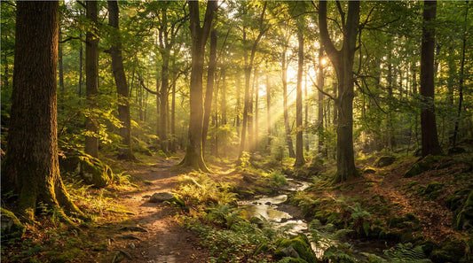 Sunlit Forest Creek Moss Wallpaper Mural - image 2