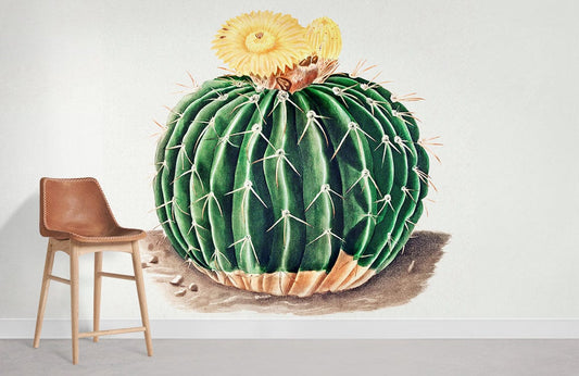Wallpaper for the Mural Room Featuring the Parodia Sellowii