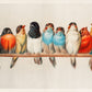 Colorful Perched Bird Row Mural Wallpaper