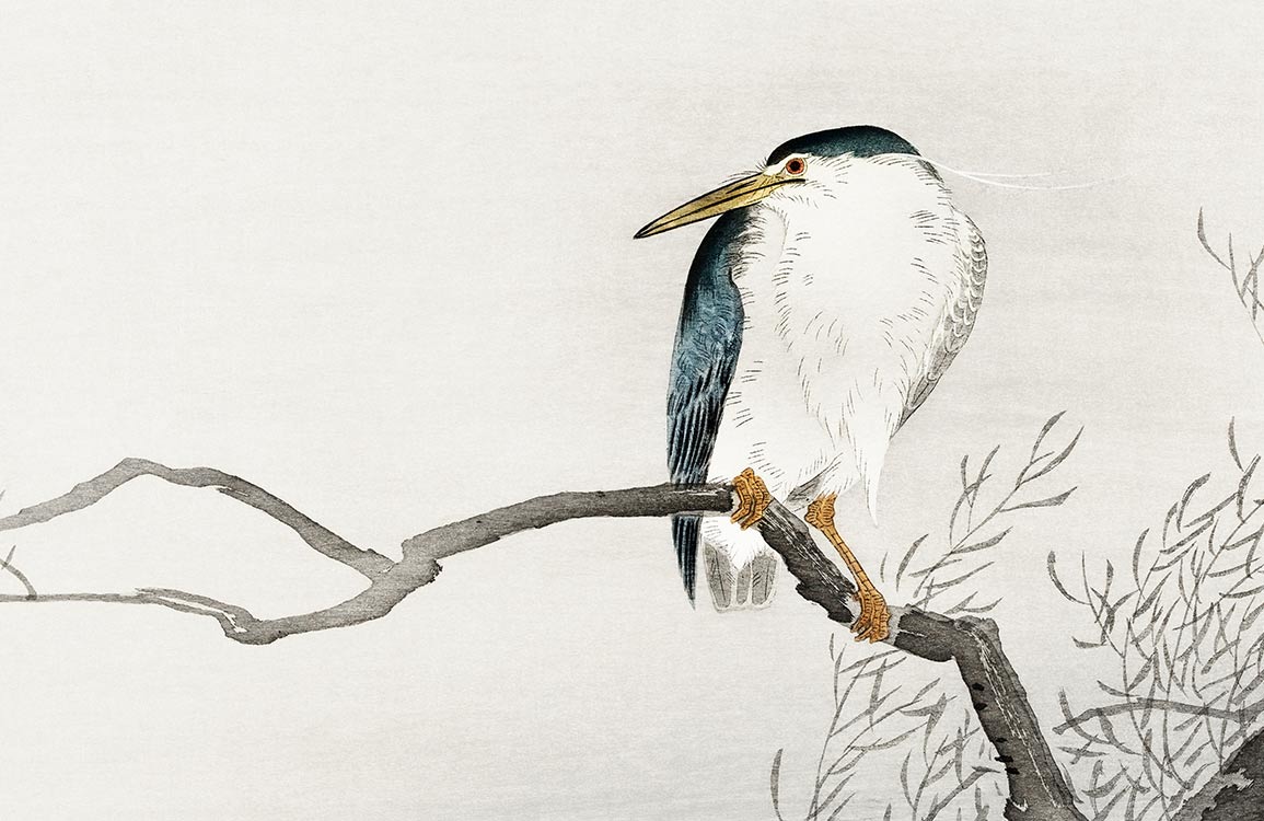 Muro botanico foglia tropicale teal