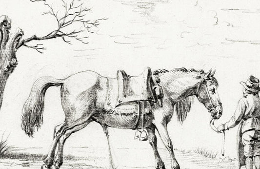 Vintage Equestrian Sketch Art Mural Wallpaper