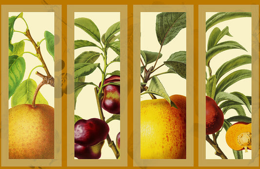 Botanical Fruit Garden Wallpaper Panels