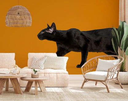 giant black cat wallpaper mural for the living room