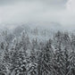 Papier Peint Panoramique Forêt enneigée