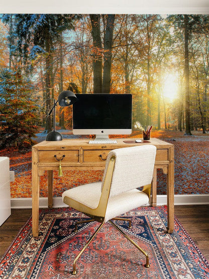 A Winter Scene in a Redwood Forest Is a Great Addition to Any Work Space