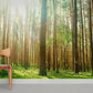 Sunlit Forest Landscape Mural Wallpaper