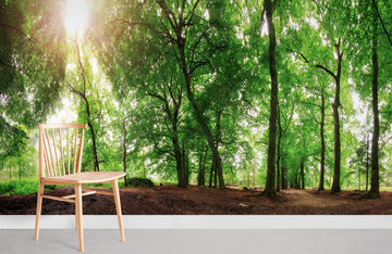 Enchanted Forest Path Scenic Wallpaper Mural