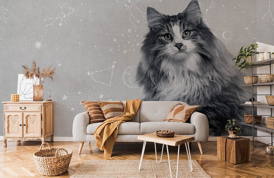 Constellation Cat Grey Mural Wallpaper