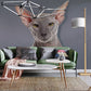 Elegant Grey Sphynx Cat Mural Wallpaper