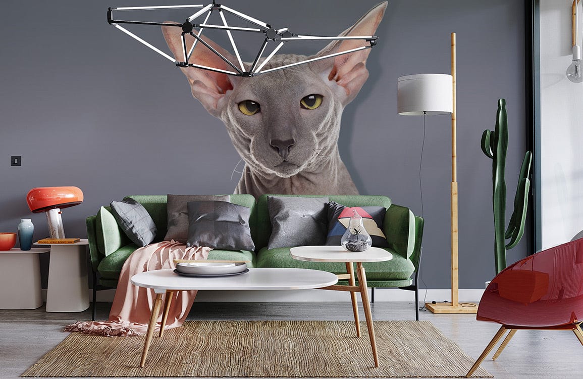 Elegant Grey Sphynx Cat Mural Wallpaper