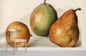 Vintage Botanical Pear Illustration Mural Wallpaper