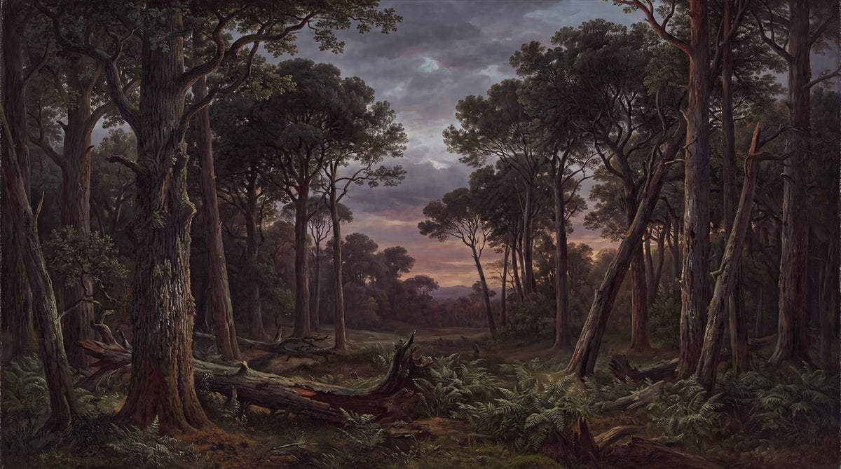 Moody Twilight Dark Forest Wallpaper Mural pattern