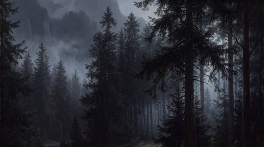 Gloomy Pine Dark Forest Wallpaper Mural pattern