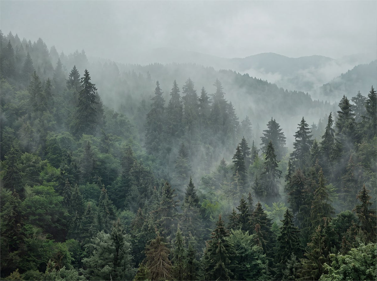 Pale Calm Misty Forest Wallpaper Mural pattern
